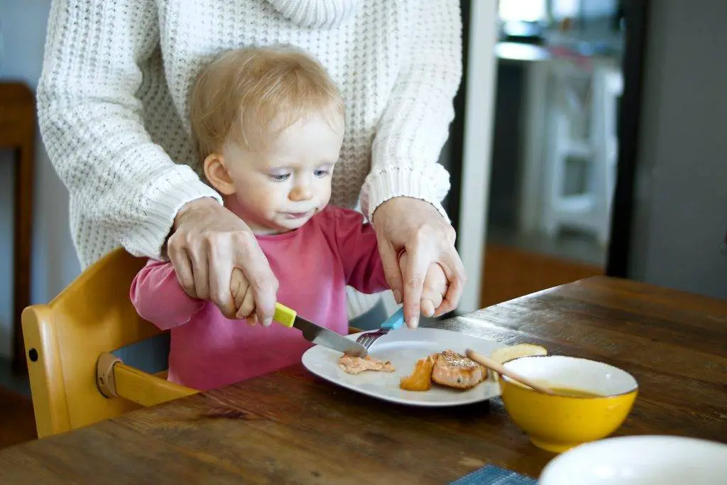 BLW/Self Feeding training for Kids(Age: 2-5 years)