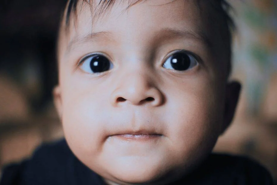 Crop charming little boy with dark hair and brown eyes looking curiously at camera in daylight