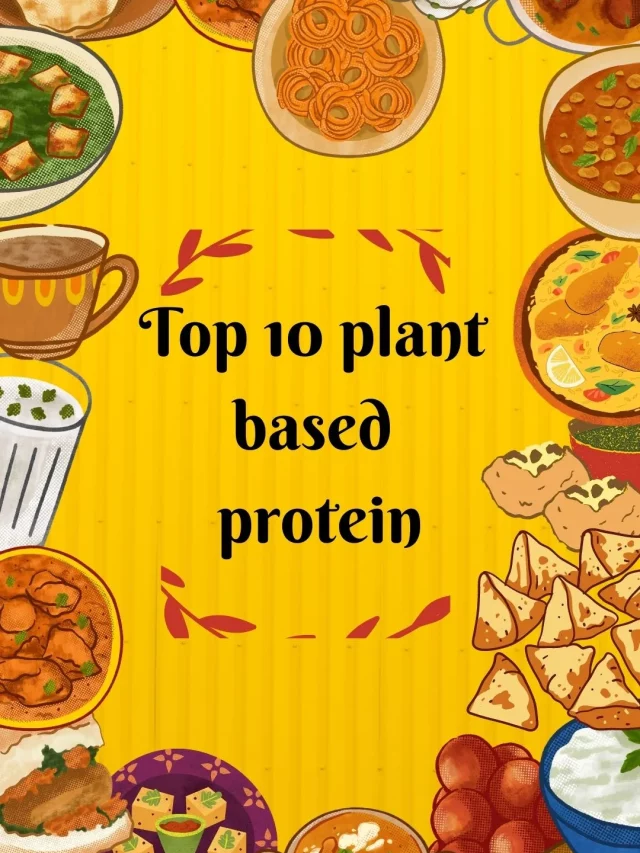Top 10 plant based protein sources